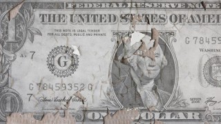 Who in Their Right Mind Would Hold Dollars?