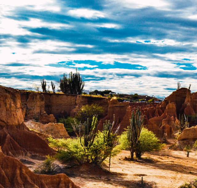 Buying Gold in New Mexico - New Mexico Desert Landscape