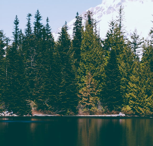 Buying Gold in Washington State - Washington Scenic Landscape