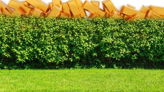 Pension Funds Eye Gold for Optimization