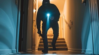 What are the Best Safes to Store Gold Bullion at Home?