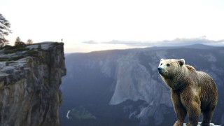 Still Waiting for that Precious Metals Correction?