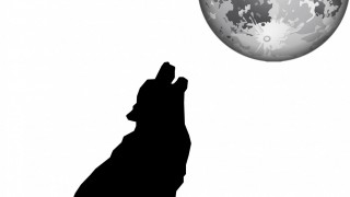 Another Look at the Crude Oil Price