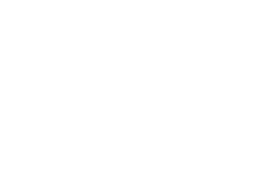 bullion.directory logo footer