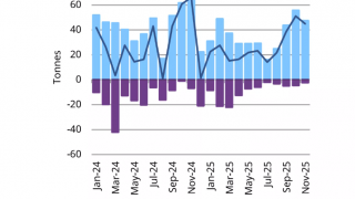 Central Bank Gold Buying Momentum Continued in November
