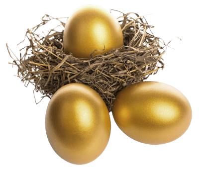 nest-egg