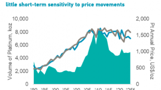 Platinum Was the Top Commodity in H1